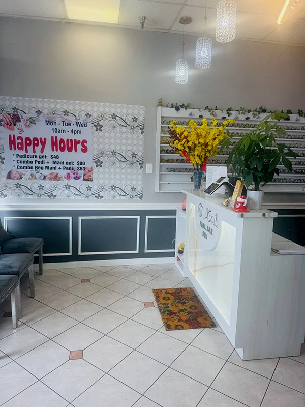 brand new Pedicure chairs